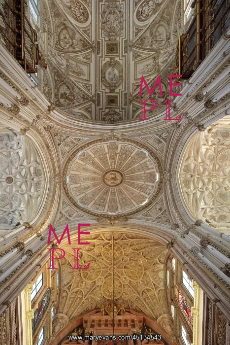 : Cathedral ceilings, Cathedral-Great Mosque, Cordoba : Cathedral ceilings, Cathedral-Great Mosque, Cordoba