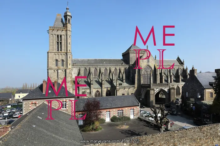 : Cathedral Saint-Samson, Dol-de-Bretagne, Brittany, France : Cathedral Saint-Samson, Dol-de-Bretagne, Brittany, France