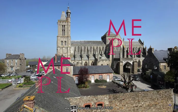 : Cathedral Saint-Samson, Dol-de-Bretagne, Brittany, France : Cathedral Saint-Samson, Dol-de-Bretagne, Brittany, France