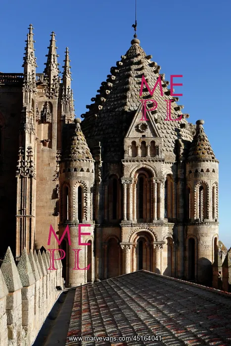 : Cathedral of Salamanca : Cathedral of Salamanca