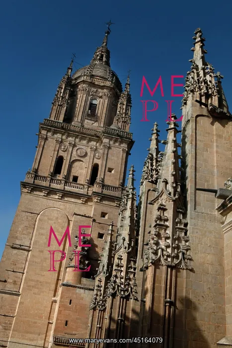 : Cathedral of Salamanca : Cathedral of Salamanca