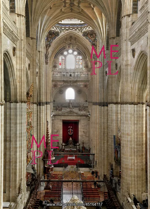 : Cathedral of Salamanca : Cathedral of Salamanca
