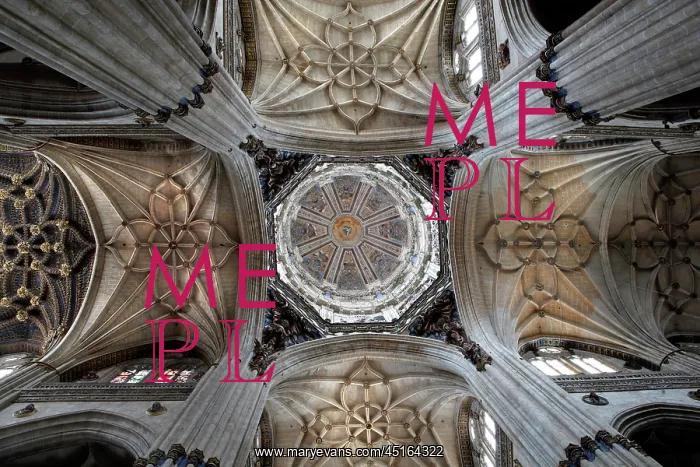 : Cathedral of Salamanca : Cathedral of Salamanca