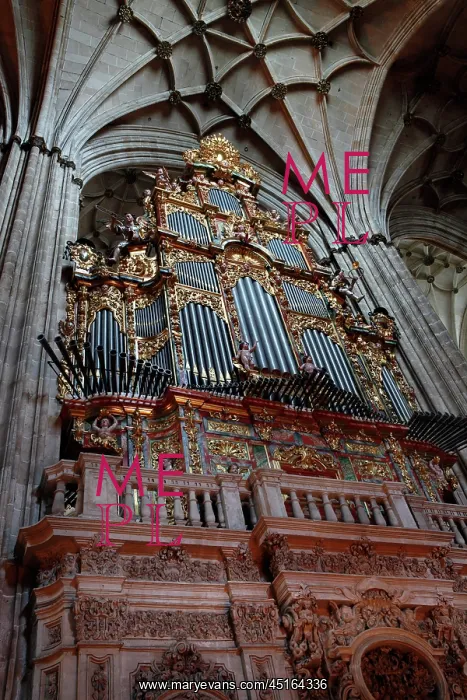 : Cathedral of Salamanca : Cathedral of Salamanca