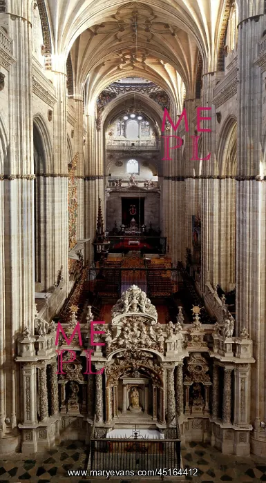 : Cathedral of Salamanca : Cathedral of Salamanca