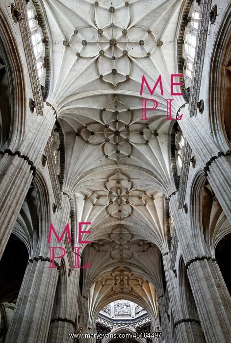 : Cathedral of Salamanca : Cathedral of Salamanca