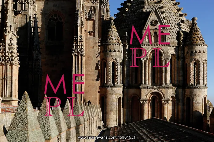 : Cathedral of Salamanca : Cathedral of Salamanca