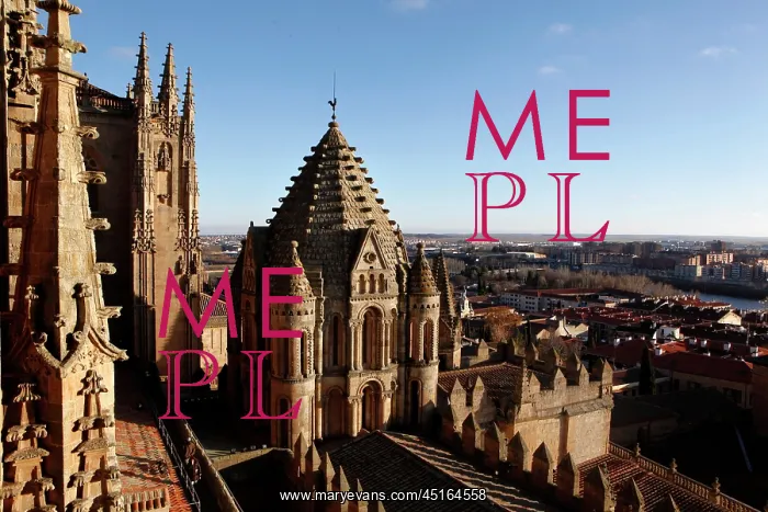 : Cathedral of Salamanca : Cathedral of Salamanca