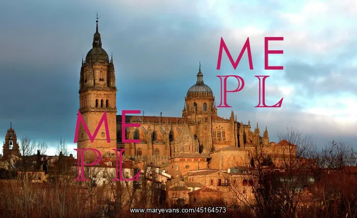 : Cathedral of Salamanca : Cathedral of Salamanca