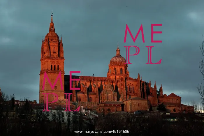 : Cathedral of Salamanca : Cathedral of Salamanca