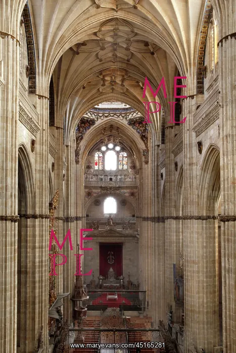 : Cathedral of Salamanca : Cathedral of Salamanca