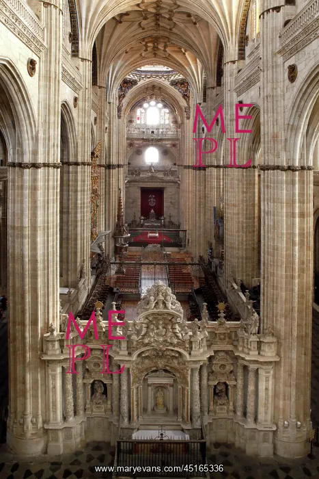 : Cathedral of Salamanca : Cathedral of Salamanca