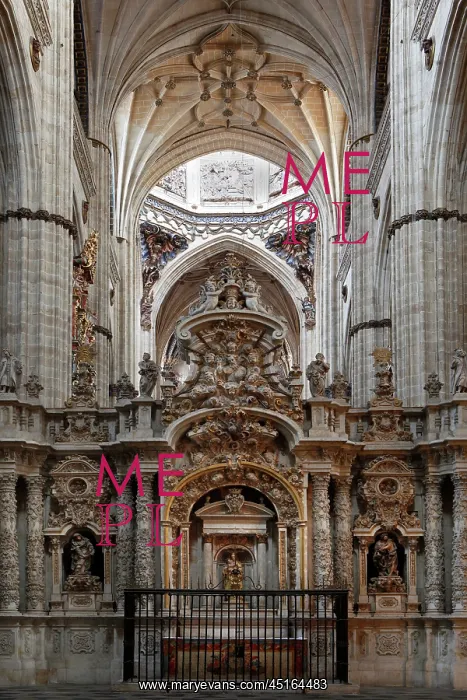 : Cathedral of Salamanca, Spain : Cathedral of Salamanca, Spain