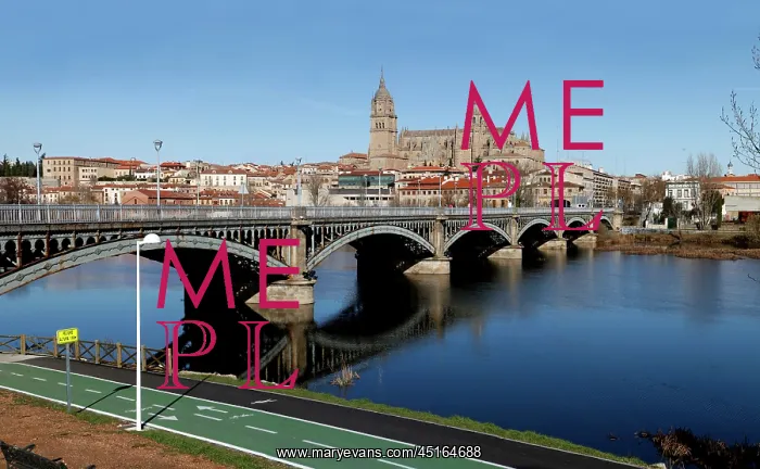 : Cathedral of Salamanca, Spain : Cathedral of Salamanca, Spain
