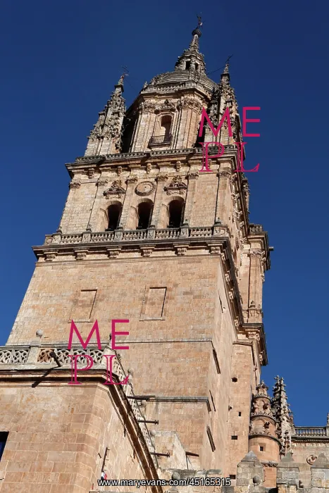 : Cathedral of Salamanca, Spain : Cathedral of Salamanca, Spain