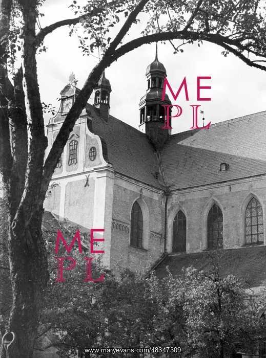 : Cathedral of St. Oliwa : Cathedral of St. Oliwa