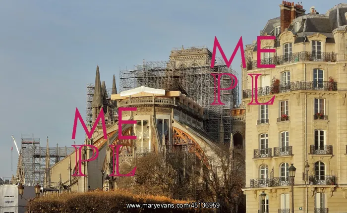 : Cathedrale Notre-Dame de Paris after fire of 16th : Cathedrale Notre-Dame de Paris after fire of 16th