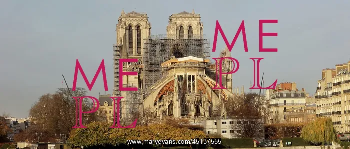 : Cathedrale Notre-Dame de Paris after fire of 16th : Cathedrale Notre-Dame de Paris after fire of 16th