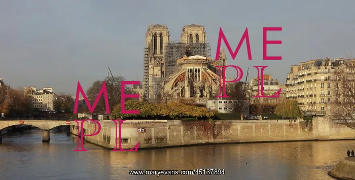 : Cathedrale Notre-Dame de Paris after fire of 16th : Cathedrale Notre-Dame de Paris after fire of 16th