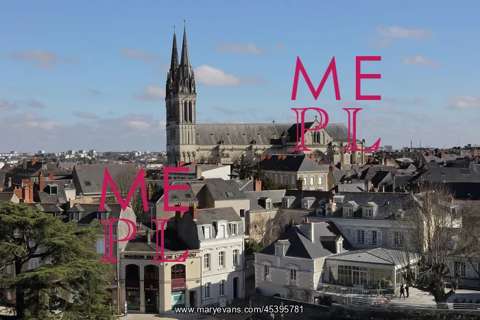 : Cathedrale Saint-Maurice d'Angers, Angers, Maine-et-Loire : Cathedrale Saint-Maurice d'Angers, Angers, Maine-et-Loire