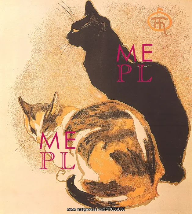  : Two Cats