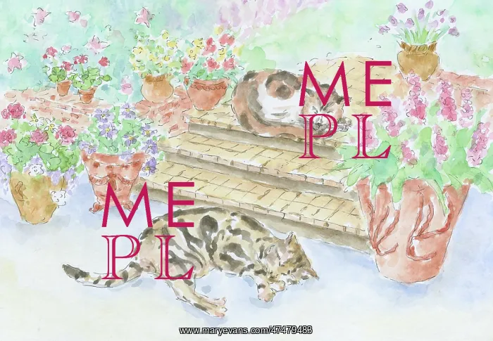  : Two cats asleep on steps with pots of flowers