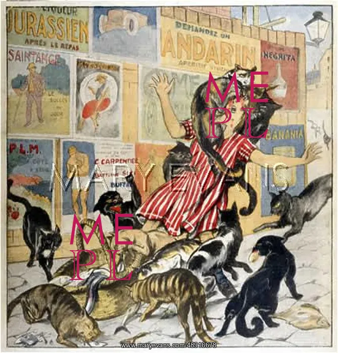 : CATS ATTACK GIRL : CATS ATTACK GIRL