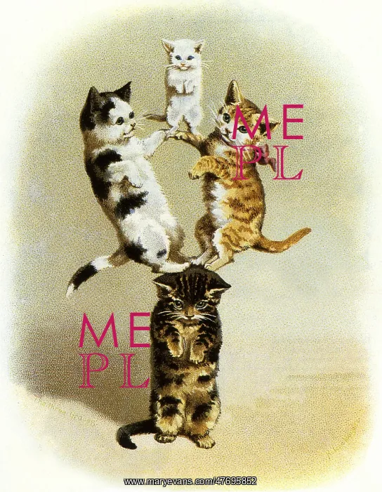  : Cats Balancing on Cat