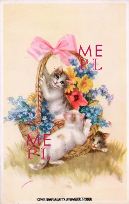 : Cats with a basket of flowers on a postcard : Cats with a basket of flowers on a postcard