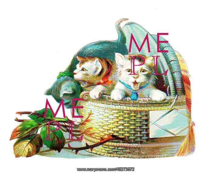  : Three cats in a basket on a Victorian scrap