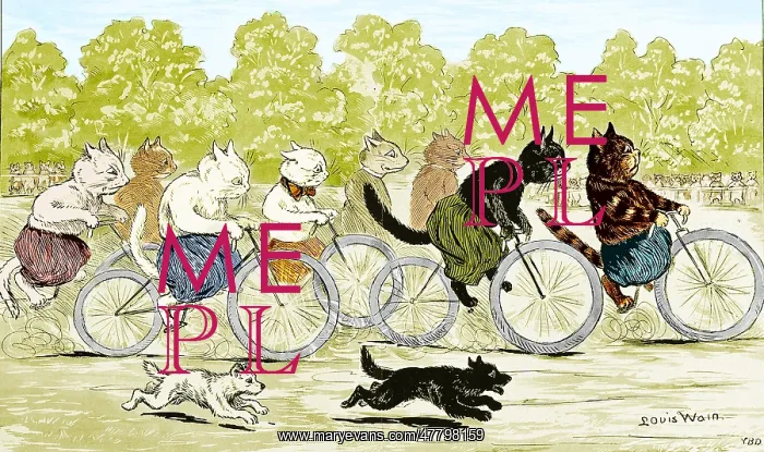 : Cats in a Bicycle Race, Hyde Park, 1896 : Cats in a Bicycle Race, Hyde Park, 1896