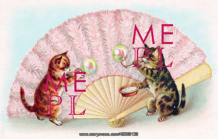 : Two cats blowing bubbles on a greetings postcard : Two cats blowing bubbles on a greetings postcard