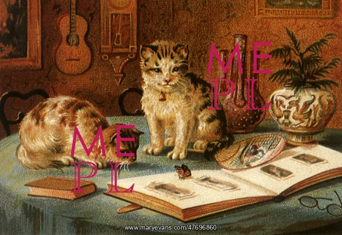  : Cats and Butterfly