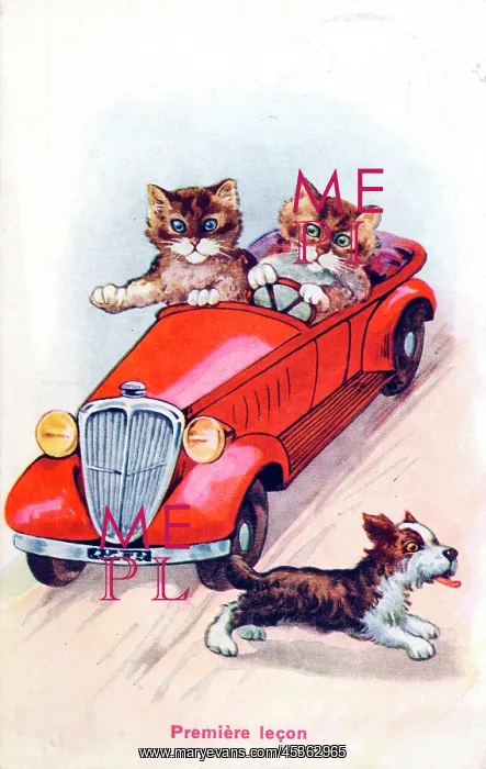 : Cats in a car on a French postcard - First lesson : Cats in a car on a French postcard - First lesson