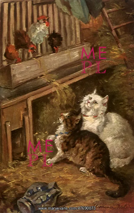  : Cats Among Chickens
