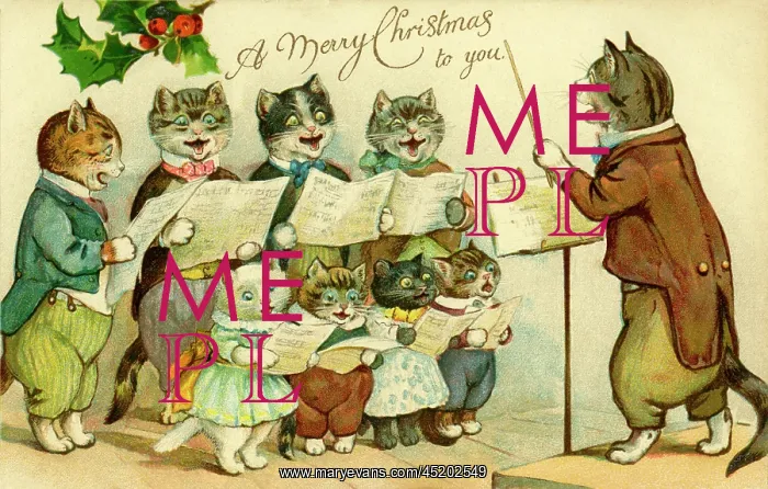 : The Cats Choir : The Cats Choir