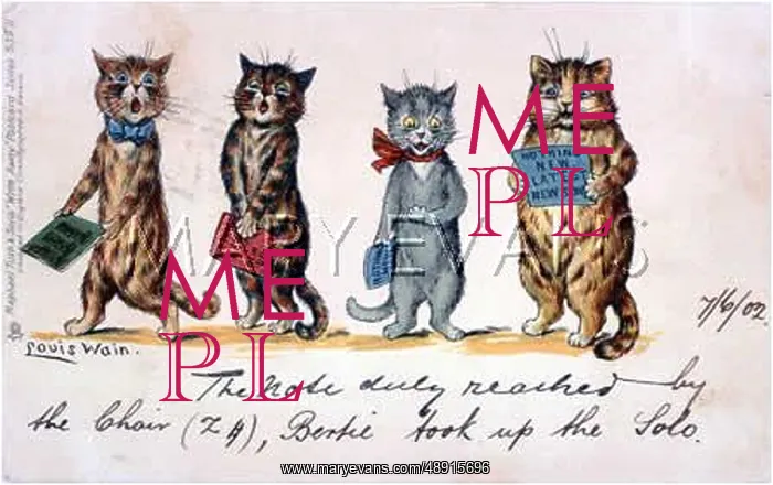 : CATS CHORAL SINGING : CATS CHORAL SINGING