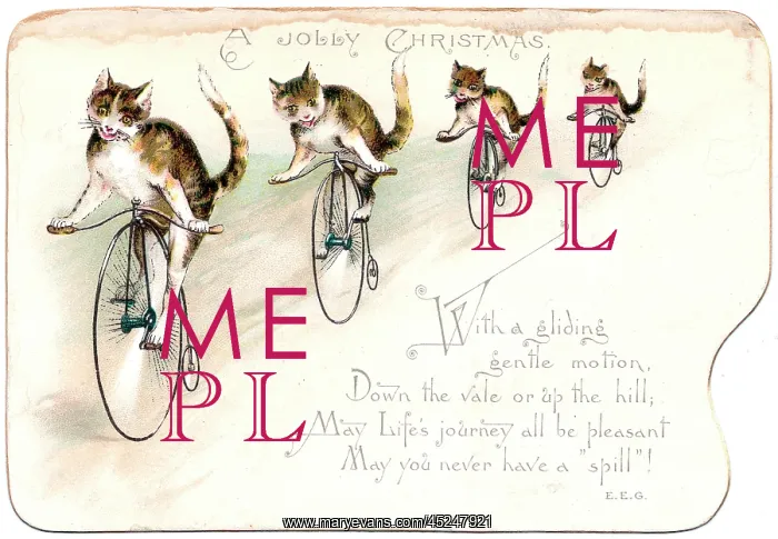 : Four cats on a Christmas card : Four cats on a Christmas card
