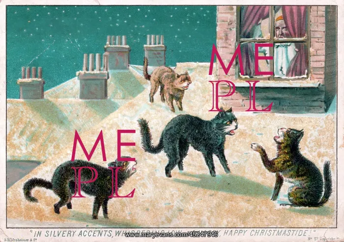 : Four cats on a Christmas card : Four cats on a Christmas card