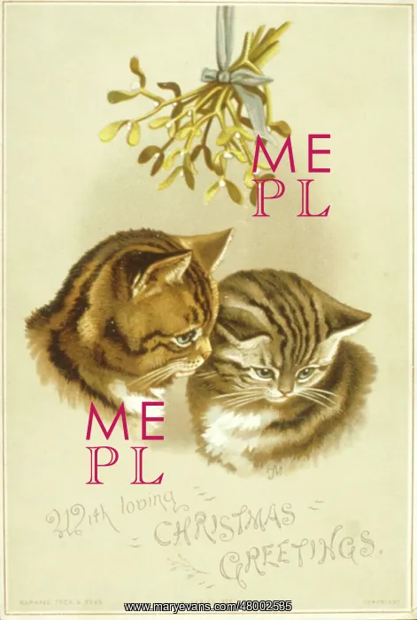  : Two cats under the Christmas mistletoe