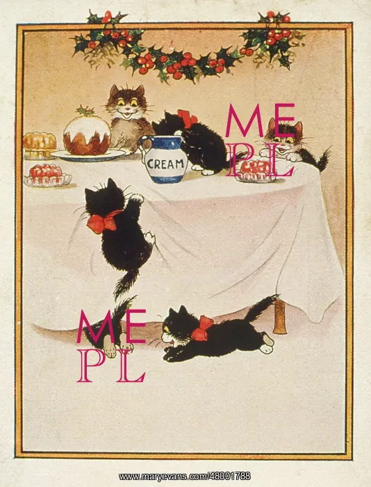 : Cats with Christmas pudding, cream and jelly : Cats with Christmas pudding, cream and jelly