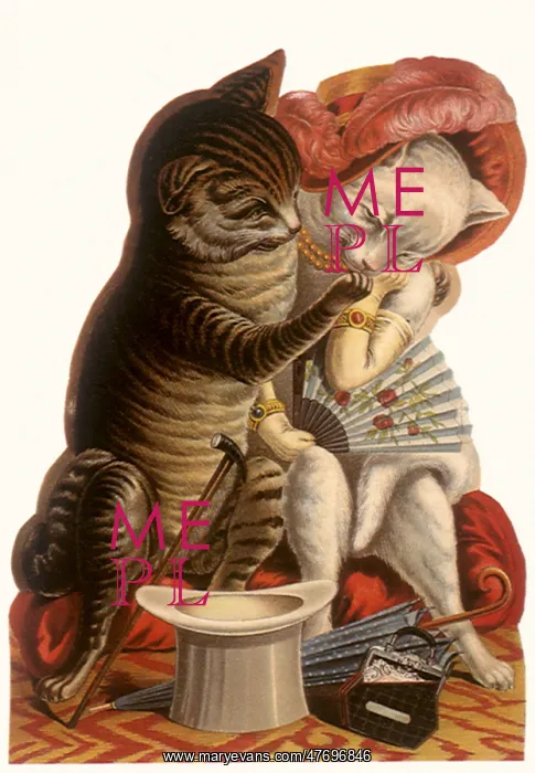  : Cats Courting