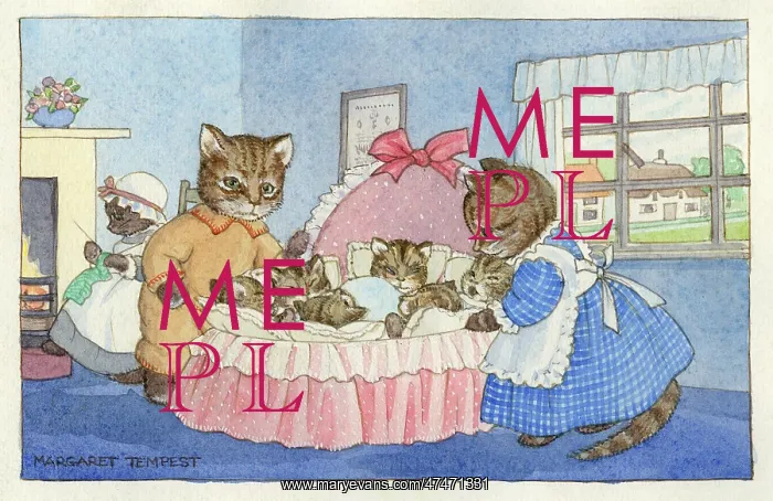 : Cats Cradle ? six kittens : Cats Cradle ? six kittens