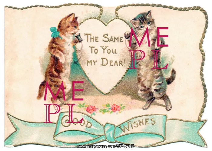 : Two cats on a cutout greetings card : Two cats on a cutout greetings card