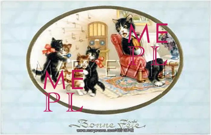 : CATS DANCE TO RADIO 20C : CATS DANCE TO RADIO 20C