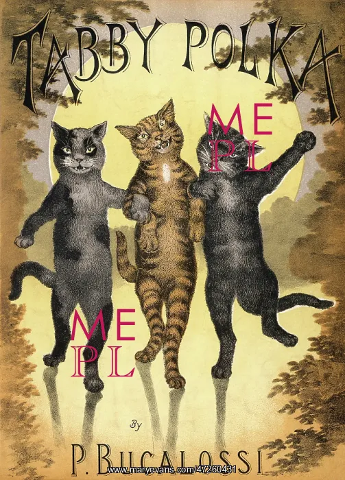 : Cats Dancing a Polka : Cats Dancing a Polka