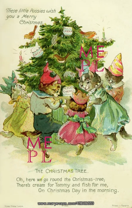 : Cats dancing round the Xmas tree : Cats dancing round the Xmas tree