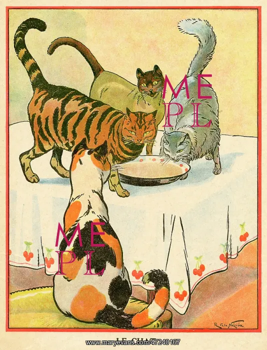 : THREE CATS DRINK MILK : THREE CATS DRINK MILK
