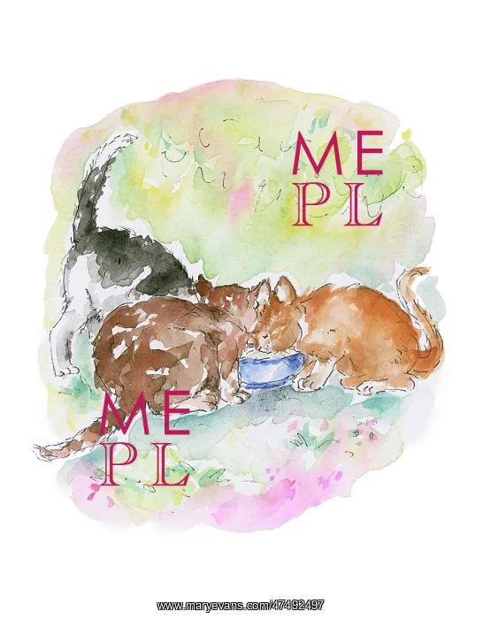  : Three Cats drinking from a bowl