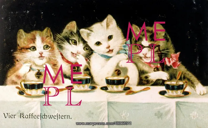 : Four cats drinking coffee : Four cats drinking coffee